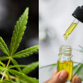 The Truth About CBD: Debunking Myths and Exploring Potential Benefits