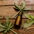 The Potential of CBD: Uncovering the Benefits and Uses of Cannabidiol