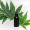 The Potential Benefits and Risks of Using CBD Oil as a Nurse