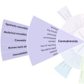 What Is CBDV Cannabinoid? Surprising Benefits & Key Differences From CBD