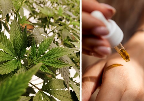 The Power of Cannabidiol: Understanding its Classification