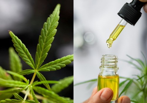 The Truth About CBD: Debunking Myths and Exploring Potential Benefits