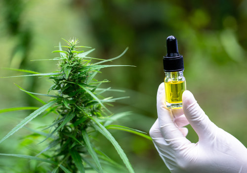 The Truth About Cannabidiol: Separating Fact from Fiction