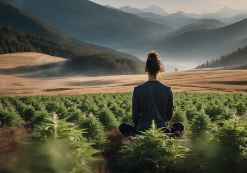 The Ultimate Guide to Choosing the Right Type of CBD: A Comprehensive Expert's Perspective