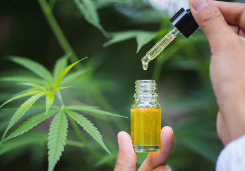 The Healing Power of CBD: Exploring its Positive Effects