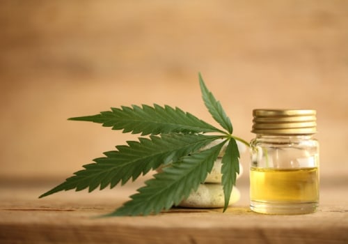 The Endocannabinoid System: Unlocking the Potential of CBD