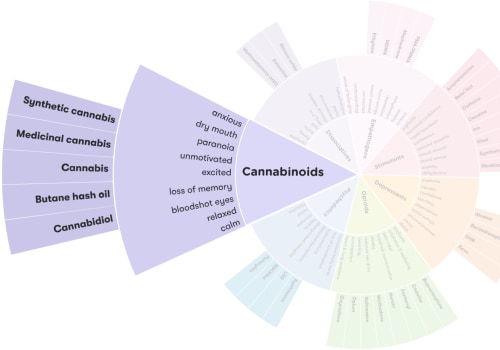What Is CBDV Cannabinoid? Surprising Benefits & Key Differences From CBD